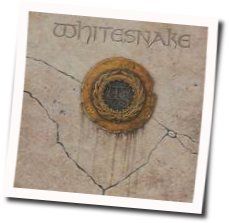 Give Me All Your Love Chords by Whitesnake