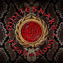 Shut Up And Kiss Me Chords by Whitesnake