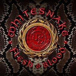 Trouble Is Your Middle Name Chords by Whitesnake