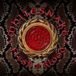 When I Think Of You (color Me Blue) Chords by Whitesnake