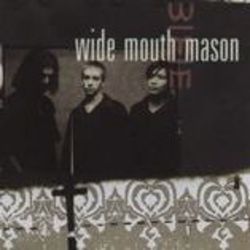 Tom Robinson Tab by Wide Mouth Mason