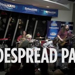 Stevens Cat Chords by Widespread Panic