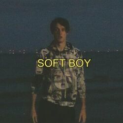 Soft Boy Chords by Wilbur Soot