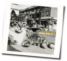 Secret Of The Sea Chords by Wilco
