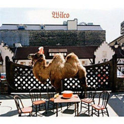 On And On And On Bass tabs by Wilco