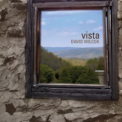 Good Man Chords by David Wilcox