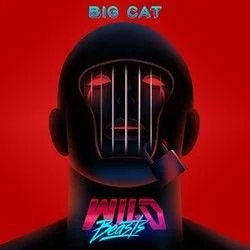 Big Cat Chords by Wild Beasts