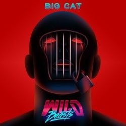 Big Cat Chords by Wild Beasts