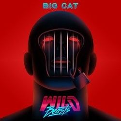 Big Cat by Wild Beasts