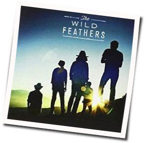 Got It Wrong by The Wild Feathers