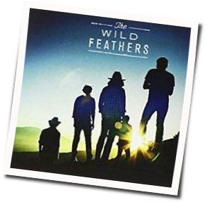 Got It Wrong Bass Tab by The Wild Feathers