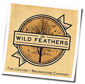 Stand By You Chords by The Wild Feathers