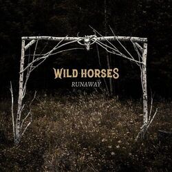 Like The Sea Chords by Wild Horses
