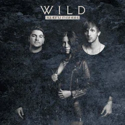 Silver And Gold Chords by The Wild