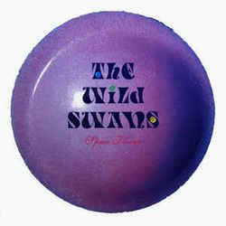 Magic Hotel Chords by The Wild Swans