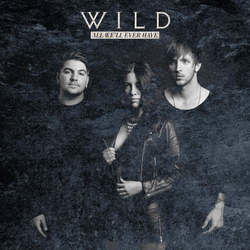 Silver And Gold Chords by The Wild