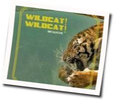 Mr Quiche Chords by Wildcat Wildcat