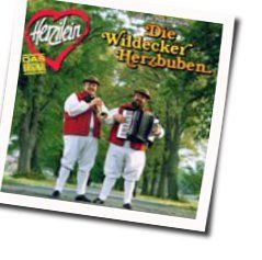 Weil Wir Freunde Sind Chords by Wildecker Herzbuben