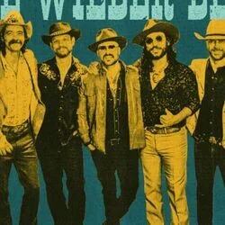 I'm Your Man Chords by The Wilder Blue