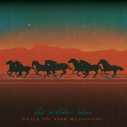 Just What I Needed Chords by The Wilder Blue