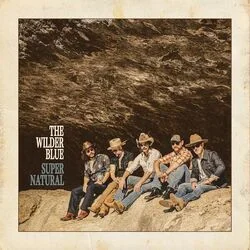 True Companion Chords by The Wilder Blue