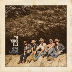 True Companion Chords by The Wilder Blue