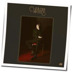 Sure Ain't Chords by Wilder Woods