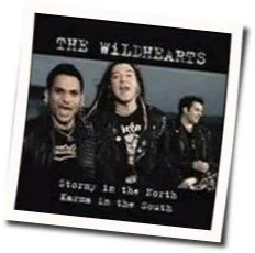 Stormy In The North Tab by The Wildhearts
