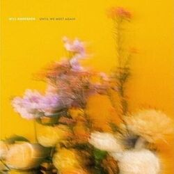 Until We Meet Again Chords by Will Anderson