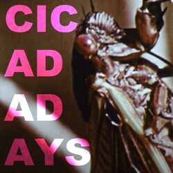Cicada Days Live by Will Wood