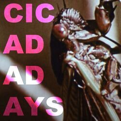 Cicada Days Live Chords by Will Wood