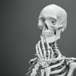 Skeleton Appreciation Day In Vestal Ny Bones by Will Wood