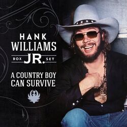 Leave Them Boys Alone Tab by Hank Williams Jr.