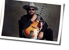 Tear In My Beer Chords by Hank Williams Jr