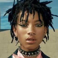 Not So Different Chords by Willow