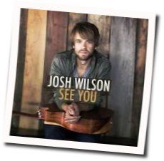 Pushing Back The Dark Chords by Josh Wilson