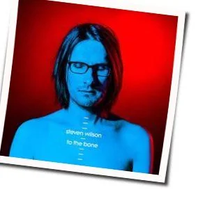 Permanating Tab by Steven Wilson