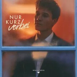 Nur Kurz Vorbei Chords by Wincent Weiss