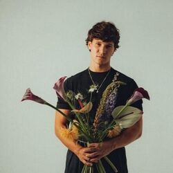 Langsam Chords by Wincent Weiss