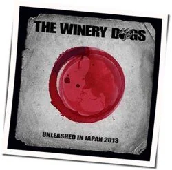 Fooled Around And Fell In Love Chords by The Winery Dogs
