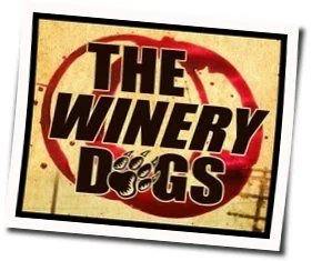 I'm No Angel Chords by The Winery Dogs