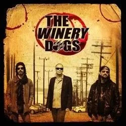 The Dying Chords by The Winery Dogs