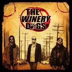 The Dying by The Winery Dogs
