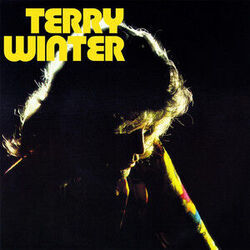 Pretty Woman Chords by Terry Winter