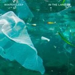 Waves Chords by Wintersleep