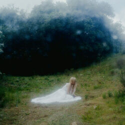 Mesmerized Chords by Wisp