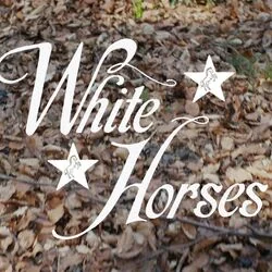 White Horses Bass Tab by Wolf Alice