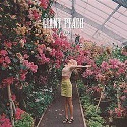 Giant Peach Tabs by Wolf Alice