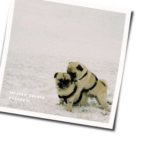 White Leather Chords by Wolf Alice