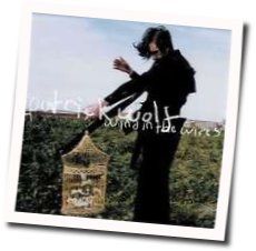 Wind In The Wires Chords by Patrick Wolf